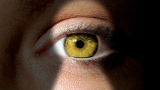 Leak: Wer schafft es in die SWR1 Weihnachtshitparade 2025?