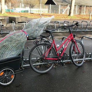 Leben ohne eigenes Auto