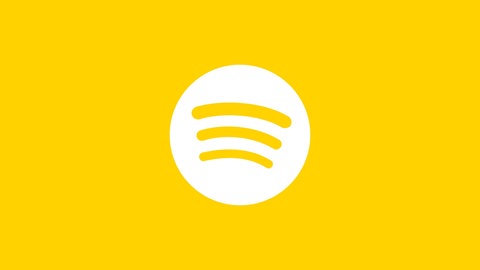 SWR1 Icons Social Media Spotify