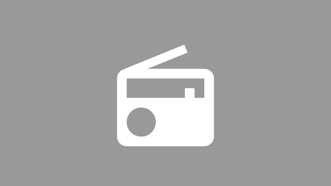 SWR Icon Radio grau