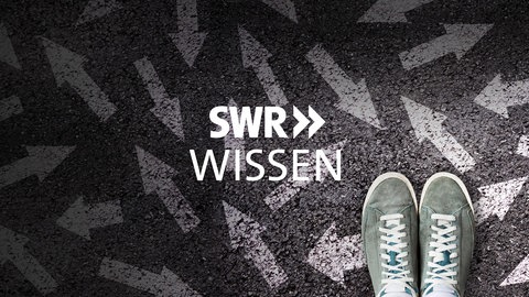 Logo "SWR Wissen"