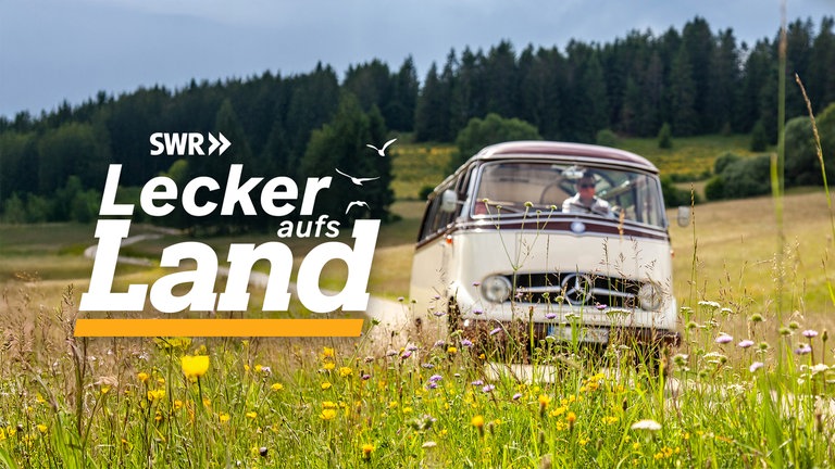 Der "Lecker aufs Land" Landfrauenbus fährt auf einer Landstraße, im Hintergrund und Bildvordergrund grüne Felder und Wiesen