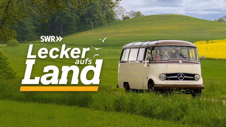 Der "Lecker aufs Land" Landfrauenbus fährt auf einer Landstraße, im Hintergrund und Bildvordergrund grüne Felder und Wiesen