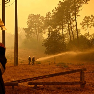 Feuerwehrleute kämpfen im Südwesten Frankreichs gegen einen Waldbrand.
