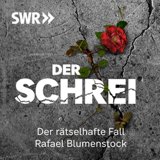 Der Schriftzug "Der Schrei" auf einem grauen, gerissenen Asphalt mit Blutspritzern (Cover steht für den SWR Podcast "Der Schrei - Der rätselhafte Fall des Rafael Blumenstock")