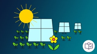 Das Bild ist eine Zeichnung. Das Thema ist: „Solar•anlage auf einem Feld“. Der Hintergrund ist dunkel•blau. Man sieht ein Acker mit vielen kleinen Pflanzen. Dazwischen sind Solar•anlagen. Die Sonne scheint. Dazu gibt es das SWR-Zeichen für Leichte Sprache: Es ist ein weißer Kreis mit blauer Zeichnung. Darin ist ein Kopf hinter einem Buch. Auf dem Buch ist ein Häkchen. 