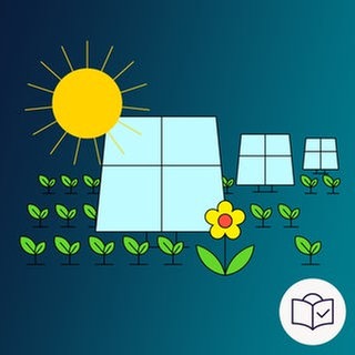 Das Bild ist eine Zeichnung. Das Thema ist: „Solar•anlage auf einem Feld“. Der Hintergrund ist dunkel•blau. Man sieht ein Acker mit vielen kleinen Pflanzen. Dazwischen sind Solar•anlagen. Die Sonne scheint. Dazu gibt es das SWR-Zeichen für Leichte Sprache: Es ist ein weißer Kreis mit blauer Zeichnung. Darin ist ein Kopf hinter einem Buch. Auf dem Buch ist ein Häkchen. 