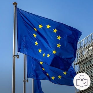 Die Flagge der EU vor einem Haus. Die Flagge ist blau und hat kleine gelbe Sterne. Rechts das SWR Logo für Leichte Sprache.