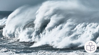 Eine riesige Welle im Meer. Das ist ein Tsunami. Rechts das SWR Logo für Leichte Sprache.