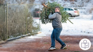 Ein Teilnehmer wirft einen Weihnachts·baum bei dem 18. Wettkampf im Weihnachts·baum·werfen in Weidenthal. Dieses Jahr gab es einen neuen Welt·rekord. Rechts das SWR Logo für Leichte Sprache.