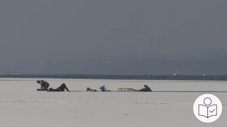 Ein Teil vom Bodensee ist zugefroren. Ein Schlittschuh·fahrer ist im Eis eingebrochen. Mehrere Menschen helfen ihm mit Schlitten aus dem Wasser. Rechts das SWR Logo für Leichte Sprache.