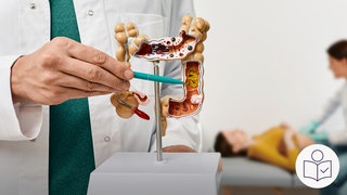 Ein Arzt hält einen Stift. Mit dem Stift zeigt er auf ein Modell von einem Darm. Rechts das SWR Logo für Leichte Sprache.