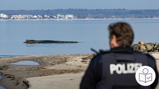 Ein Strand und das Meer, rechts im Vordergrund steht ein Polizist. Im Meer liegt ein Wal. Nur ein kleiner Teil vom Wal guckt aus dem Wasser. Rechts das SWR Logo für Leichte Sprache.