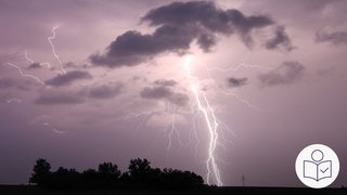 Der Himmel ist lila. Im Himmel sind Wolken. Aus den Wolken schießt ein weißer Blitz auf die Erde. Unten im Bild sind Büsche und Bäume. Rechts das SWR Logo für Leichte Sprache.
