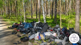 Das ist ein Beispiel·bild. Auf einem Wald·weg liegt viel Müll. Rechts das SWR Logo für Leichte Sprache.