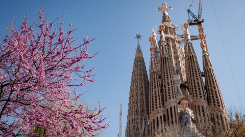 Die Kirche Sagrada Familia in Barcelona. Die Sagrada Familie ist jetzt die höchste Kirche der Welt. Auf dem höchsten Turm ist ein großes Kreuz aus Glas und Stahl. Rechts das SWR Logo für Leichte Sprache.