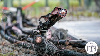 Kaputte Strom·kabel im Umspann·werk in Reutlingen. Ein Feuer hat die Kabel zerstört. Rechts das SWR Logo für Leichte Sprache.