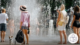 Mehrere Menschen stehen vor Wasser·spielen in einer Stadt. Wasser sprudelt aus dem Boden. Die Menschen haben sommerliche Kleidung an. Rechts das SWR Logo für Leichte Sprache.