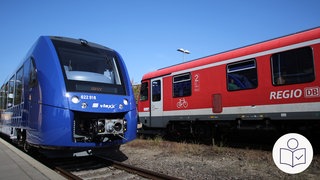 Zwei Regional·züge an einem Bahnhof. Ein blauer Zug der Firma Vlexx. Ein roter Zug von der Deutschen Bahn. Die Bahn will die Strecke Mainz - Alzey ausbauen. Rechts das SWR Logo für Leichte Sprache.