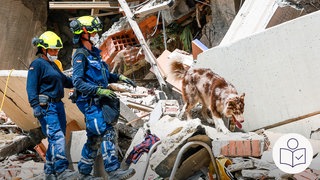 Rettungs·kräfte suchen in Venezuela nach Überlebenden. In Venezuela hat es Erdbeben gegeben. Häuser sind eingestürzt. Viele Menschen sind noch vermisst. Rechts das SWR Logo für Leichte Sprache.