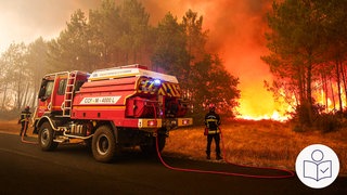 Ein Feuerwehr·auto und Feuerwehr·leute stehen vor einem Wald. Im Wald ist Feuer. Das Feuer ist in Frankreich. Rechts das SWR Logo für Leichte Sprache.