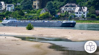 Ein Schiff fährt den Rhein entlang. Im Vordergrund sieht man viel Sand. Der Rhein hat wenig Wasser. Das Schiff ist nicht voll beladen. Im Hintergrund sind Häuser am Berg. Rechts das SWR Logo für Leichte Sprache.