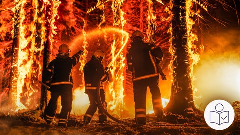 Drei Feuerwehrmänner stehen vor einem brennenden Wald. An allen Baumstämmen lodern gelbe Flammen. Unten rechts das SWR-Logo für Leichte Sprache.