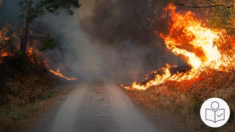 Ein Waldweg in der Gemeinde Hürtgenwald endet in dichtem Rauch. Rechts und links vom Weg brennt der Wald. Rechts unten das SWR-Logo für Leichte Sprache.