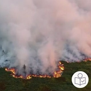 Im Naturschutz·gebiet "Hohes Venn" in Belgien brennt es. Der Wald·brand breitet sich immer weiter aus. Rechts das SWR Logo für Leichte Sprache.