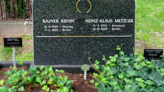 Grab von Rainer Riehn