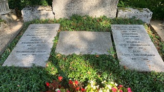 Grab von Jacques Wildberger