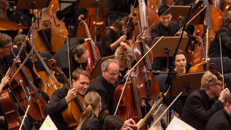 Cellisten des Orchesters beim Eröffnungskonzert