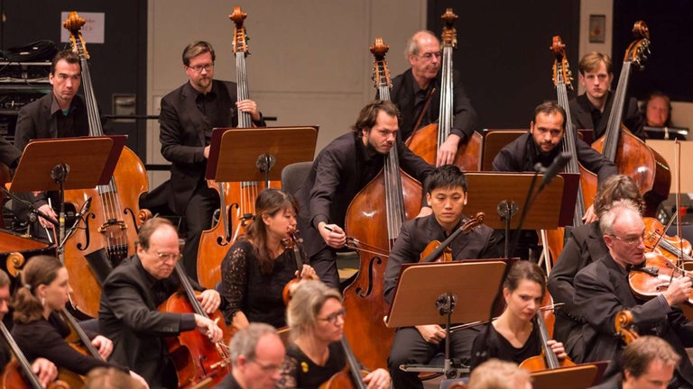Das orchester beim Eröffnungskonzert in den Baarsporthallen