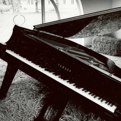 Beschädigter Konzertflügel liegt im Heu