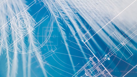 Platzhalter für fehlendes Festivalplakat 1956