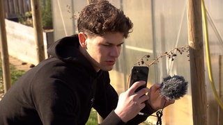 Beetfluencer mit Handy in der Hand