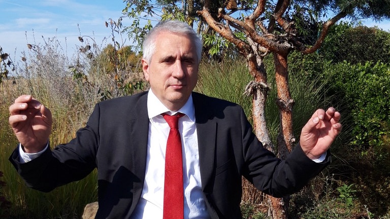 Mann mit Anzug steht in sommerlicher Natur