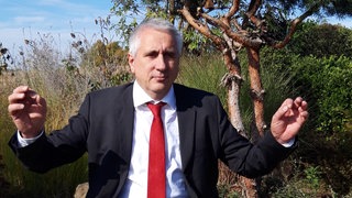 Mann mit Anzug steht in sommerlicher Natur