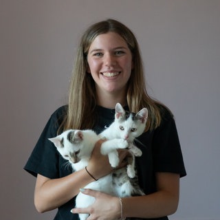 Katzenliebe im Tierheim