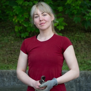 Junge blonde Frau mit rotem T-Shirt, Arbeitshandschuh und Gartenschere.
