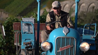 Winzer aus dem Ahrtal liest seinen Wein