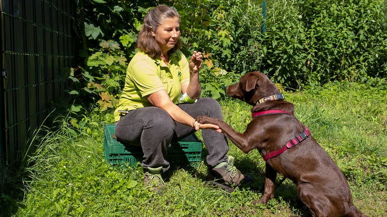 Inge Wanken gibt dem braunen Hund ein Leckerli.