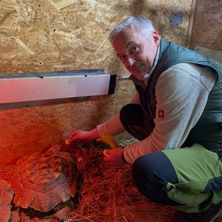 Mann in Arbeitskleidung mit Schildkröte