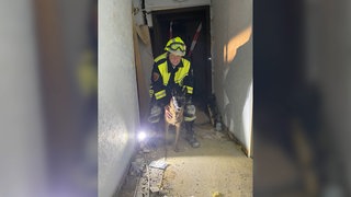 Rettungshundeführer hilft bei Hoteleinsturz in Kröv