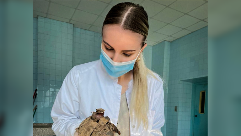 Junge Medizinstudentin seziert ein altes Herz.