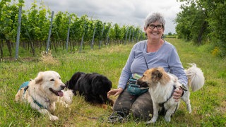 Ute, ältere Dame, sitzt mit ihren Hunden in den Weinbergen