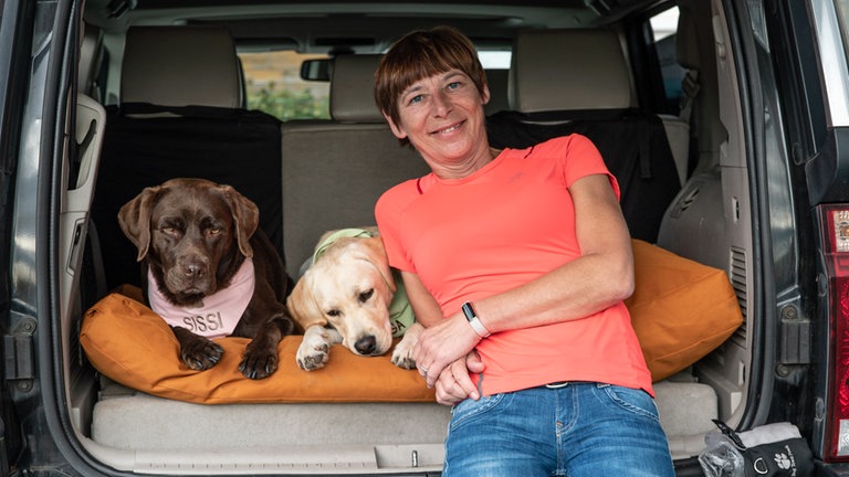 wei Hündinnen sitzen im Auto mit ihrem Frauchen