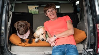 wei Hündinnen sitzen im Auto mit ihrem Frauchen