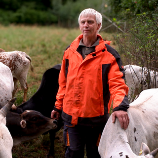 Jürgen Hoffmann kümmert sich leidenschaftlich um seine 70 Zwerg-Zebus. Er steht auf einer Wiese inmitten seiner Zebus, trägt eine orange Jacke und lacht in die Kamera. 
