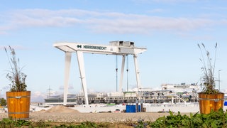 Streit um Blumenkübel in Schwanau: Von der Straße entfernte Blumenkübel stehen auf dem Firmengelände von Herrenknecht